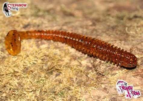 PRZYNĘTY GUMOWE NA OKONIA, SANDACZA, SZCZUPAKA CRAZY FISH - VIBRO WORM ...