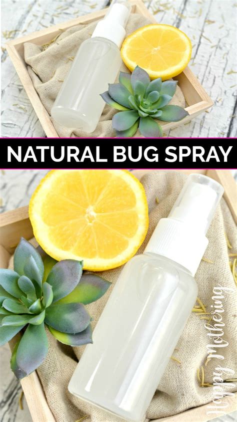 Homemade Bug Spray Essential Oil Bug Repellent Essential Oil Bug Spray Natural Bug Spray