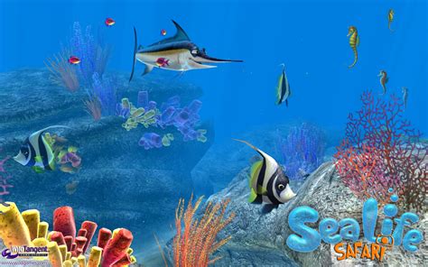 Sea Life Safari Game Download Pc Fasrmeta