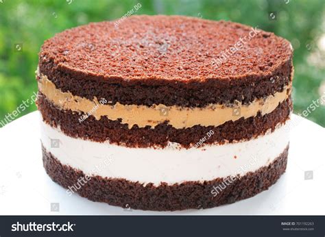 Naked Layer Cake Chocolate Biscuit Cream Stock Photo Shutterstock