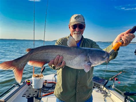 Fort Worth Fishing Guide Report November 11 2022 North Texas Catfish