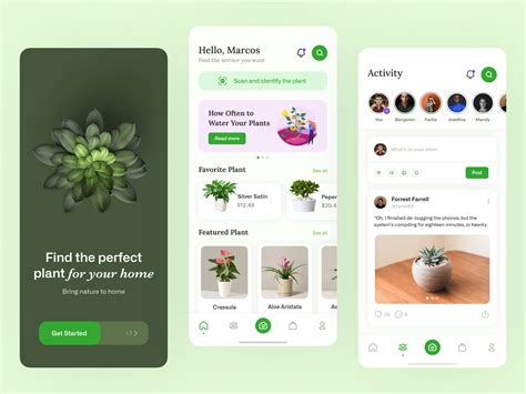 Plant Shop Mobile App Design 🪴 By Adrian Gancarek On Dribbble