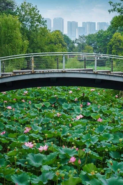 River Beach Bridge Park Free Photo On Pixabay Pixabay