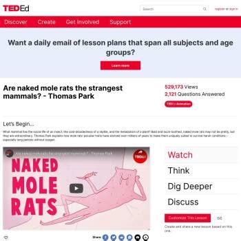 Are Naked Mole Rats The Strangest Mammals Thomas Park Resources California Educators