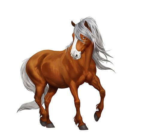 Star Stable Online On Behance Star Stable Star Stable Horses Horse