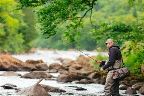 Trout Fishing In Rivers And Streams Basics And Beyond