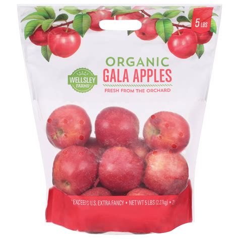Baby Gala Apples Gala Apple Tree – Epic Gardening