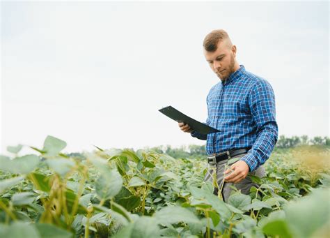 O Que É Agricultura Patronal - Agricultura patronal: Conheça os principais tipos no Brasil