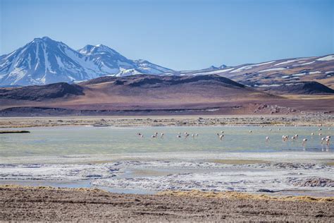 ultimate chile travel guide planning tips advice