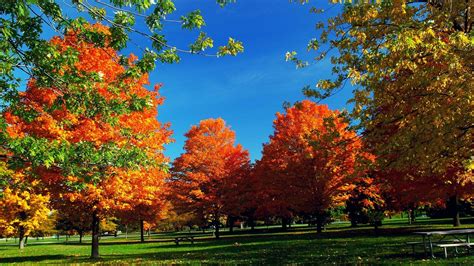 🔥 40 New England Fall Desktop Wallpapers Wallpapersafari