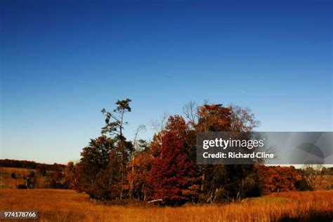 Cline Falls Photos And Premium High Res Pictures Getty Images