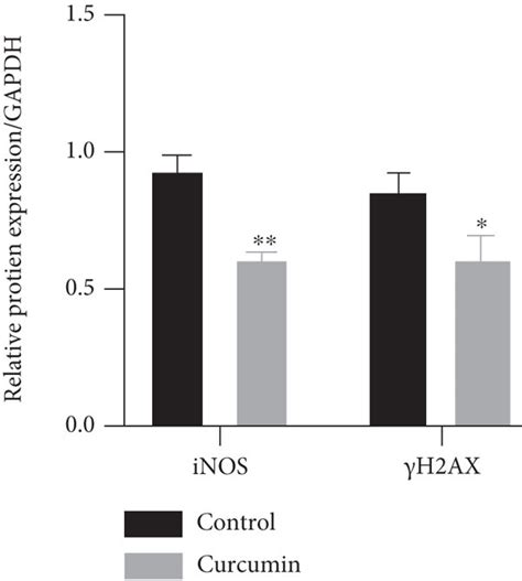 Curcumin Suppresses Oxidative Stress In Caco Monolayers A The