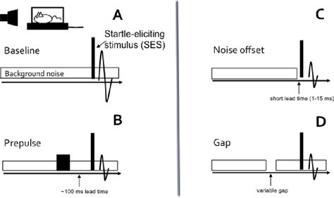 Figure From Acoustic Startle Modification As A Tool For Evaluating