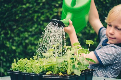 Should I Be Watering My Plants Every Day At Teena Burchfield Blog