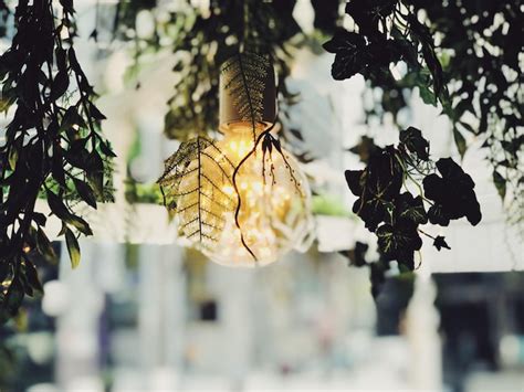 Premium Photo Close Up Of Flowering Plant Hanging From Tree