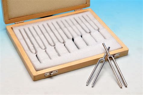 Steel Tuning Forks Set Of 8 In Wooden Case — Hbarsci