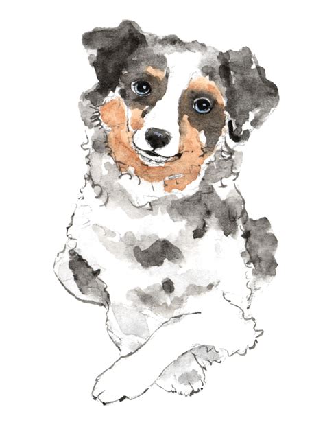 pets art puppy training