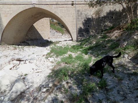 Travel Cyprus With Your Dog Discover Neolithic Cypruswith Your Dog