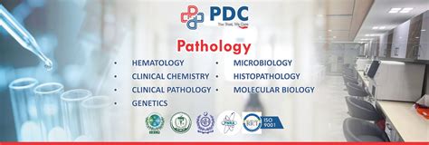 Premium Diagnostics Center & Clinic — Premium Diagnostics & Clinics