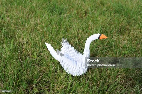 3d Modular Origami Kertas Angsa Buatan Tangan Dengan Kertas Putih