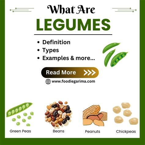 legumes definition types  examples foodie garima