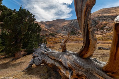 Recent blog posts - Mountain Secrets Blog