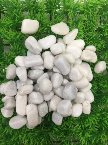 Pebble Stone Aquarium Tumbled Polished Colored Off White River Pebbles