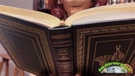 ASS WORSHIP Clips Sale