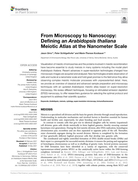 From Microscopy To Nanoscopy Defining An Arabidopsis Thaliana