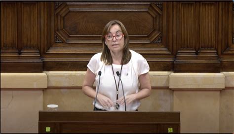 El Psc Recorda Que Catalunya S A La Cua De Les Renovables A Europa