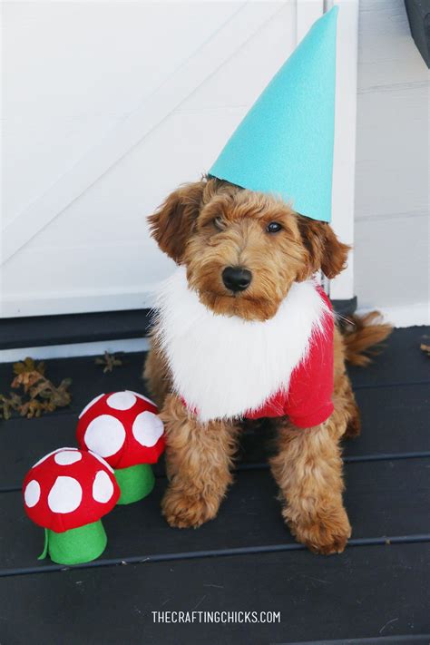 19 Adorable DIY Dog Costumes for Halloween