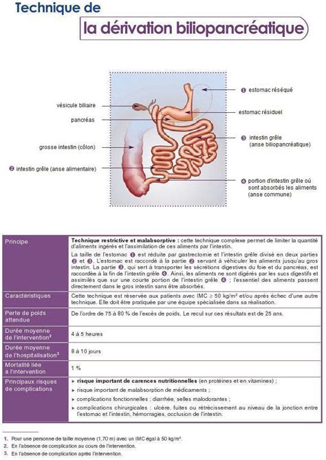 Dr Antoine Sina Chirurgie Digestive Et De L Ob Sit Nantes