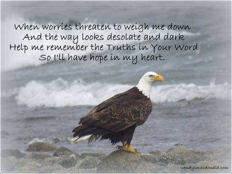 Wendy L Macdonald Wait Upon The Lord Help Me Bald Eagle Eagles