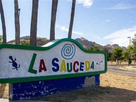 Sociedad Civil Proponen Ideas Para Rescatar La Sauceda