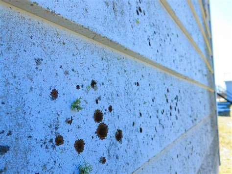 EXTERIORS: "How Can I Make 30-Year Old Aluminum Siding Look Good Again?