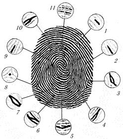 Вопрос 3. Фиксация следов: