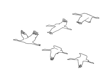 Раскраски Журавли распечатать или скачать бесплатно в формате PDF.