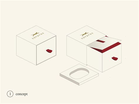 Package design Box by Anastasia Tyuleneva on Dribbble