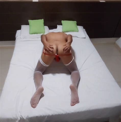 Ladypamela Shemale Hot Ass Set Photo Ashemaletube