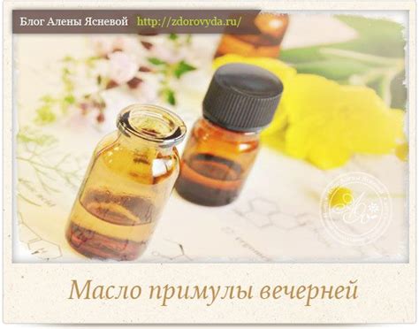 Масло примулы вечерней - полезные свойства и применение
