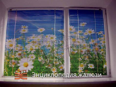 Рулонные шторы и жалюзи с фотопечатью, жалюзи с рисунком на окна | ЭЖ