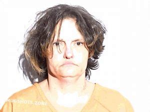 Lucas County Mugshots Zone