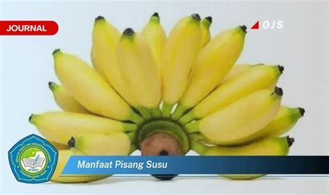 Ketahui 6 Manfaat Pisang Susu Yang Bikin Kamu Penasaran E Journal