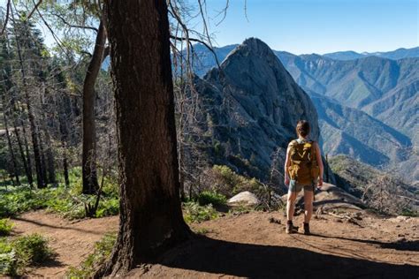 Sequoia National Park Hiking Reviews | U.S. News Travel