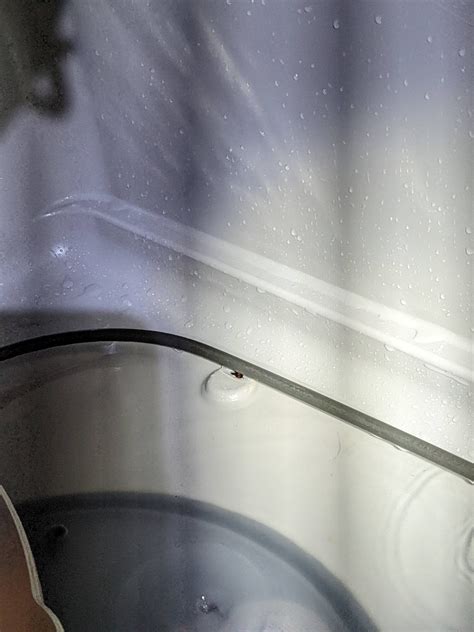 Dishwasher leaked under vinyl flooring : homeowners