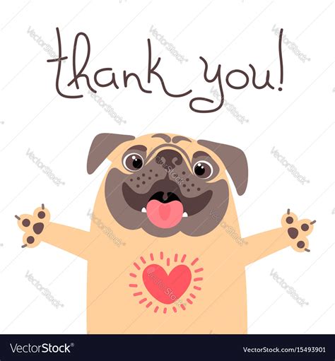 Cute Dog Says Thank You Pug With Heart Full Vector Image