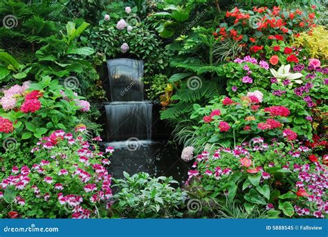 Flowers And Waterfall Garden Stock Image - Image: 5888545