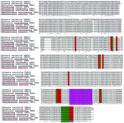 Multiple Sequence Alignment Of Deduced Amino Acid Sequencesof Gachs 1