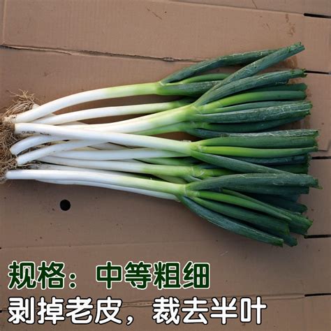 正宗山东大葱新鲜非章丘蔬菜甜葱特级铁杆长葱去叶嫩葱5 10斤包邮 虎窝淘