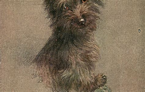 mary queen  scots   loyal canine companion history scotland